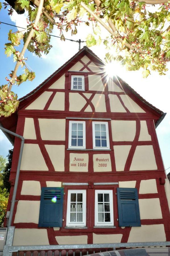 הופהיים אם טאונוס Apartmenthaus Am Zimmerplatz מראה חיצוני תמונה